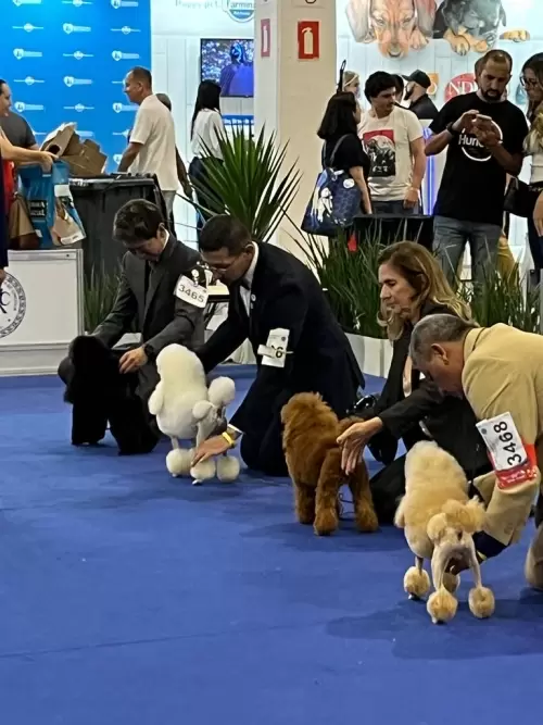 World Dog Show