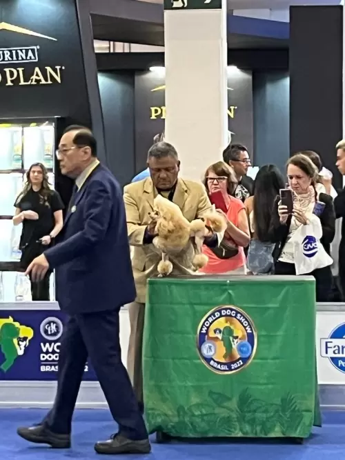 World Dog Show