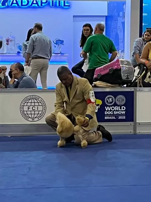 World Dog Show