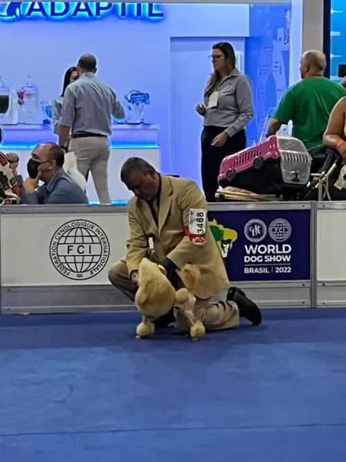 World Dog Show
