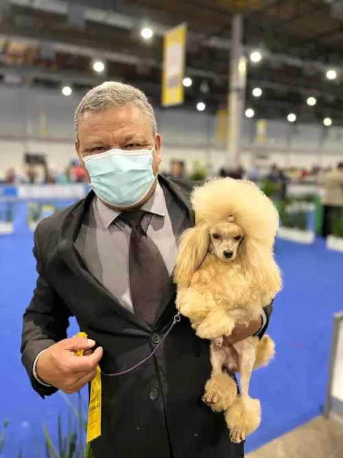 World Dog Show
