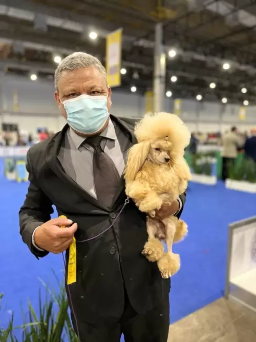 World Dog Show