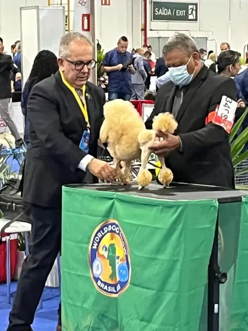 World Dog Show