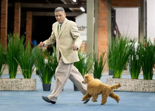 Se destacando nas pistas: JR Play Franwill’s House